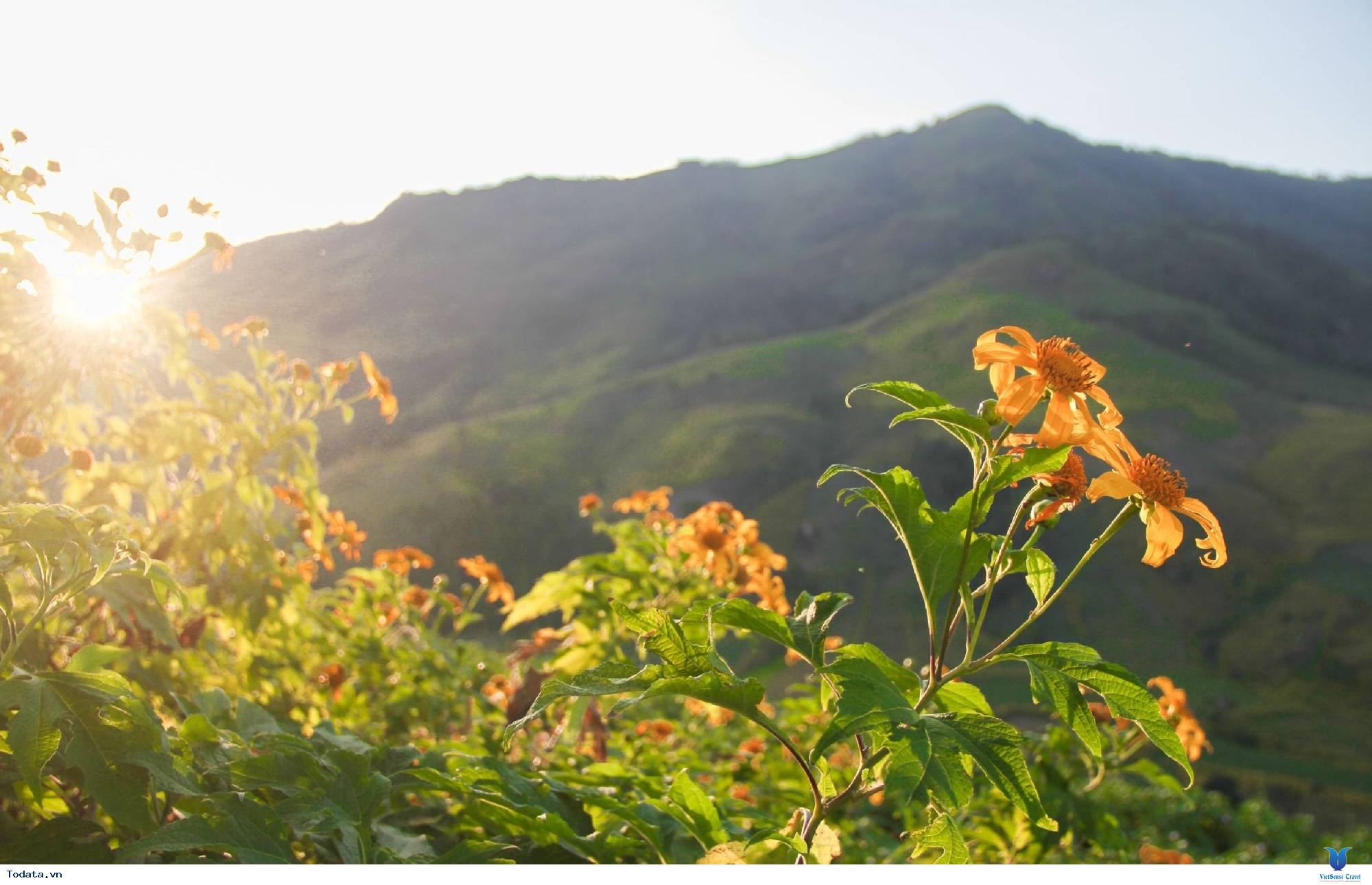 Tây Nguyên 4 Ngày 3 Đêm Dịp 2/9 Từ Hồ Chí Minh - Ảnh 1
